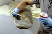 Apply a coat of epoxy resin to damaged area